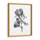 Espino Berry Rama Ii - Emma Scarvey | Cuadro decorativo de Canvas Lab