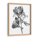 Espino Berry Rama Ii - Emma Scarvey | Cuadro decorativo de Canvas Lab