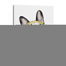 Vogue Dog Ii - Grace Popp | Cuadro decorativo de Canvas Lab