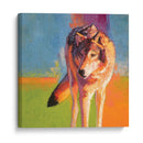 Estudio De Lobos Iii - Julie T. Chapman | Cuadro decorativo de Canvas Lab