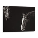 Cowboy Scratchboard Iii - Julie T. Chapman | Cuadro decorativo de Canvas Lab