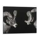 Scratchboard Wild - Julie T. Chapman | Cuadro decorativo de Canvas Lab