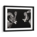 Scratchboard Wild - Julie T. Chapman | Cuadro decorativo de Canvas Lab