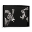 Scratchboard Wild - Julie T. Chapman | Cuadro decorativo de Canvas Lab