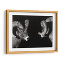 Scratchboard Wild - Julie T. Chapman | Cuadro decorativo de Canvas Lab