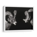 Scratchboard Wild - Julie T. Chapman | Cuadro decorativo de Canvas Lab
