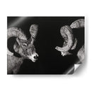 Scratchboard Wild - Julie T. Chapman | Cuadro decorativo de Canvas Lab