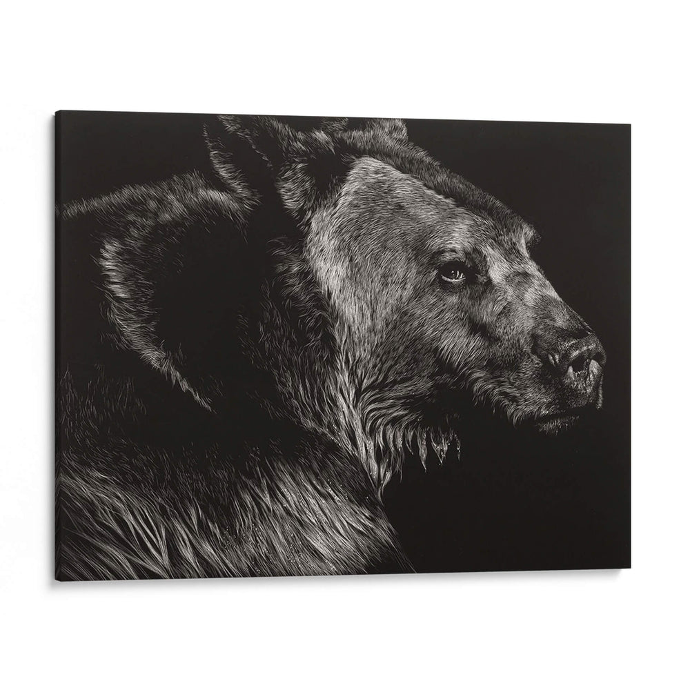 Scratchboard Wild II - Julie T. Chapman | Cuadro decorativo de Canvas Lab