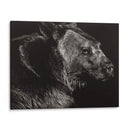 Scratchboard Wild II - Julie T. Chapman | Cuadro decorativo de Canvas Lab