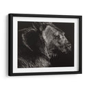 Scratchboard Wild II - Julie T. Chapman | Cuadro decorativo de Canvas Lab