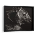 Scratchboard Wild II - Julie T. Chapman | Cuadro decorativo de Canvas Lab