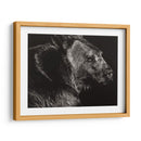 Scratchboard Wild II - Julie T. Chapman | Cuadro decorativo de Canvas Lab