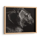 Scratchboard Wild II - Julie T. Chapman | Cuadro decorativo de Canvas Lab