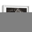 Scratchboard Wild II - Julie T. Chapman | Cuadro decorativo de Canvas Lab