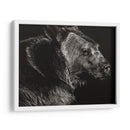 Scratchboard Wild II - Julie T. Chapman | Cuadro decorativo de Canvas Lab