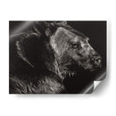 Scratchboard Wild II - Julie T. Chapman | Cuadro decorativo de Canvas Lab