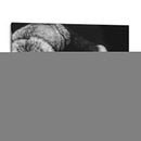 Scratchboard Salvaje Iii - Julie T. Chapman | Cuadro decorativo de Canvas Lab