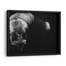 Scratchboard Salvaje Iii - Julie T. Chapman | Cuadro decorativo de Canvas Lab