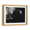 Scratchboard Salvaje Iii - Julie T. Chapman | Cuadro decorativo de Canvas Lab