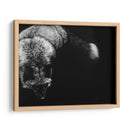 Scratchboard Salvaje Iii - Julie T. Chapman | Cuadro decorativo de Canvas Lab