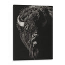 Scratchboard Wild IV - Julie T. Chapman | Cuadro decorativo de Canvas Lab