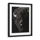 Scratchboard Wild IV - Julie T. Chapman | Cuadro decorativo de Canvas Lab