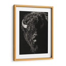 Scratchboard Wild IV - Julie T. Chapman | Cuadro decorativo de Canvas Lab