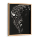 Scratchboard Wild IV - Julie T. Chapman | Cuadro decorativo de Canvas Lab