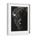 Scratchboard Wild IV - Julie T. Chapman | Cuadro decorativo de Canvas Lab