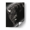 Scratchboard Wild IV - Julie T. Chapman | Cuadro decorativo de Canvas Lab