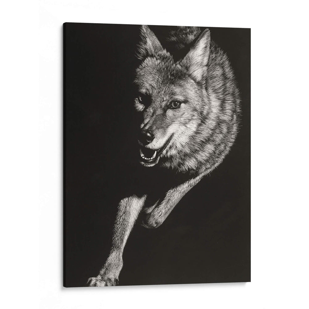 Scratchboard Salvaje V - Julie T. Chapman | Cuadro decorativo de Canvas Lab