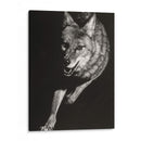 Scratchboard Salvaje V - Julie T. Chapman | Cuadro decorativo de Canvas Lab