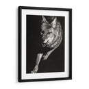 Scratchboard Salvaje V - Julie T. Chapman | Cuadro decorativo de Canvas Lab