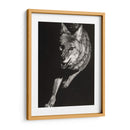 Scratchboard Salvaje V - Julie T. Chapman | Cuadro decorativo de Canvas Lab