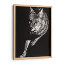 Scratchboard Salvaje V - Julie T. Chapman | Cuadro decorativo de Canvas Lab