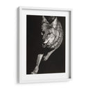 Scratchboard Salvaje V - Julie T. Chapman | Cuadro decorativo de Canvas Lab