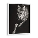 Scratchboard Salvaje V - Julie T. Chapman | Cuadro decorativo de Canvas Lab