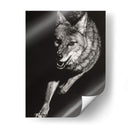 Scratchboard Salvaje V - Julie T. Chapman | Cuadro decorativo de Canvas Lab