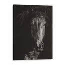 Scratchboard Salvaje Vi - Julie T. Chapman | Cuadro decorativo de Canvas Lab