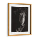 Scratchboard Salvaje Vi - Julie T. Chapman | Cuadro decorativo de Canvas Lab