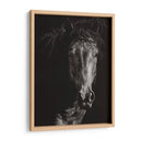 Scratchboard Salvaje Vi - Julie T. Chapman | Cuadro decorativo de Canvas Lab