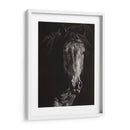 Scratchboard Salvaje Vi - Julie T. Chapman | Cuadro decorativo de Canvas Lab