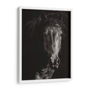 Scratchboard Salvaje Vi - Julie T. Chapman | Cuadro decorativo de Canvas Lab