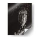 Scratchboard Salvaje Vi - Julie T. Chapman | Cuadro decorativo de Canvas Lab