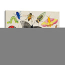 Bugdom I - Alicia Ludwig | Cuadro decorativo de Canvas Lab