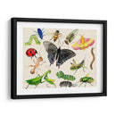 Bugdom I - Alicia Ludwig | Cuadro decorativo de Canvas Lab
