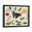 Bugdom I - Alicia Ludwig | Cuadro decorativo de Canvas Lab