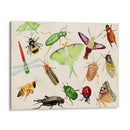 Bugdom Ii - Alicia Ludwig | Cuadro decorativo de Canvas Lab