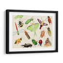 Bugdom Ii - Alicia Ludwig | Cuadro decorativo de Canvas Lab