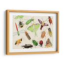 Bugdom Ii - Alicia Ludwig | Cuadro decorativo de Canvas Lab